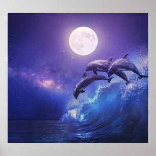 Affiche Dauphins Lune : Imaginaire Océan Nocturne