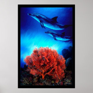 Affiche Dauphins sur coraux