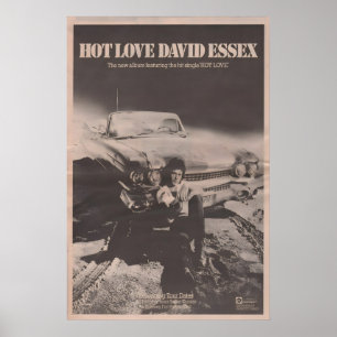 Affiche DAVID ESSEX - 1973 original NME - Hot Love