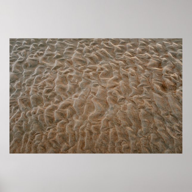 Affiche Daytona Beach (Devant)