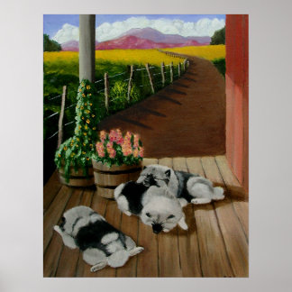Affiche Daze été