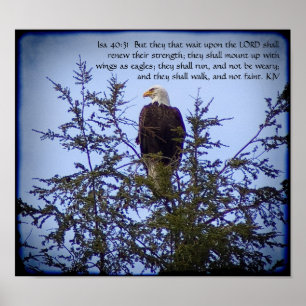 Affiche de 40:31 d'Isaïe