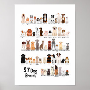 affiche de 57 races de chiens