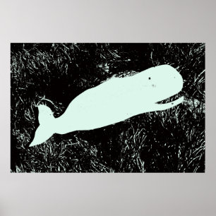 affiche de baleine blanche