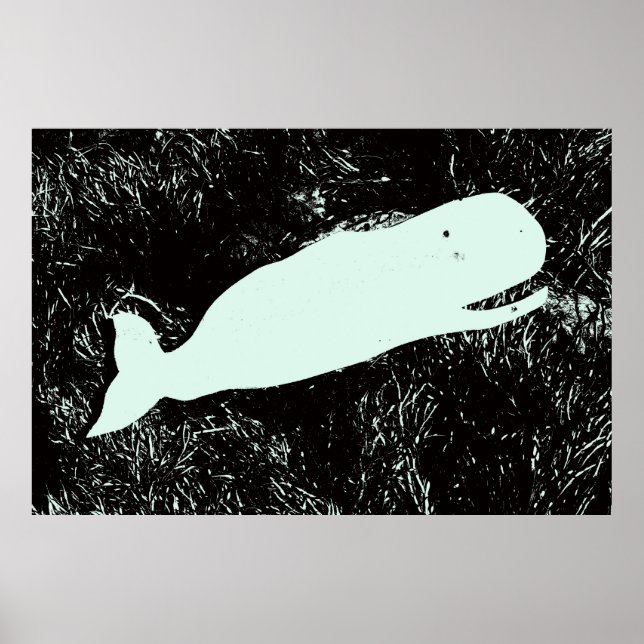 affiche de baleine blanche (Devant)