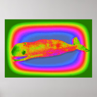 affiche de baleine psychédélique souriante