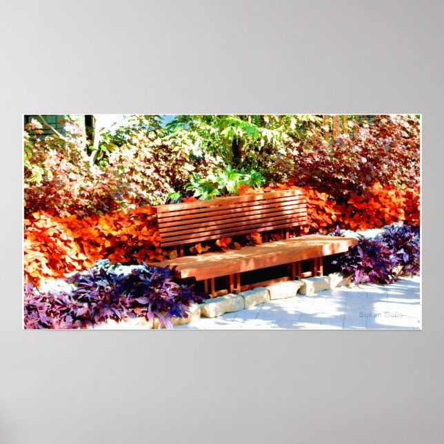 Affiche de banc dans le jardin botanique (Devant)