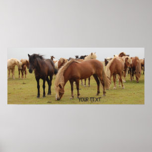 Affiche De beaux chevaux bruns