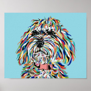 Affiche de Bernedoodle
