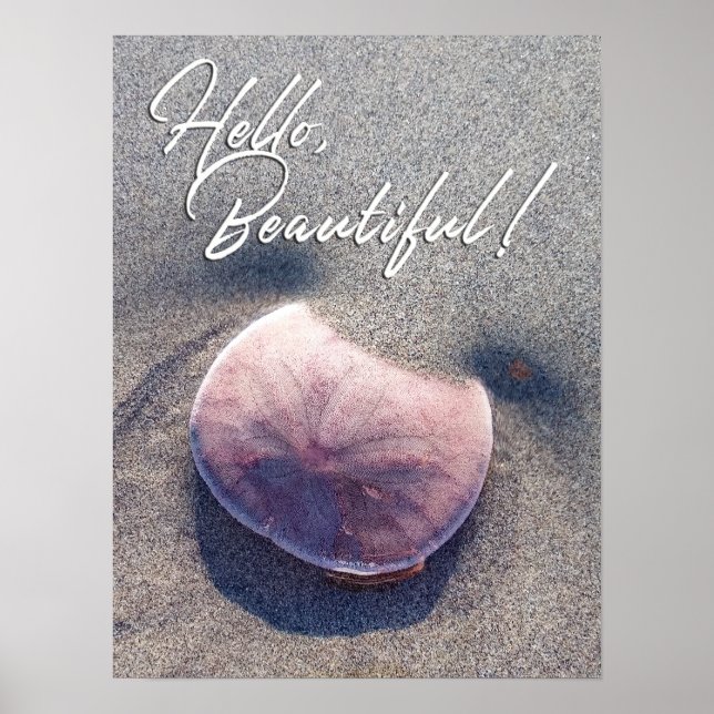 Affiche de bienvenue de dollar de sable en direct  (Devant)