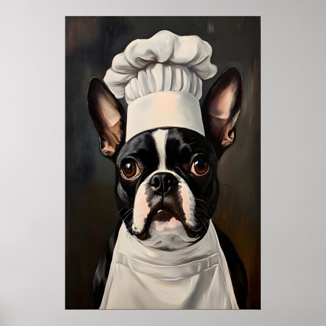 Affiche de Boston Terrier en chapeau de chef, Art  (Devant)