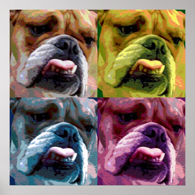 affiche de bulldog en anglais (Devant)