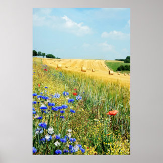 affiche de campagne d'été DE 8.99