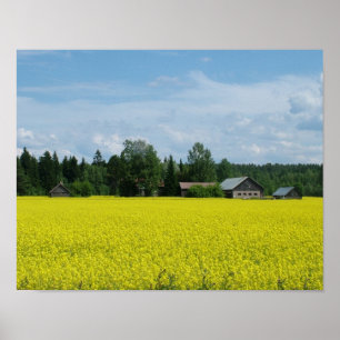 Affiche de campagne finlandaise