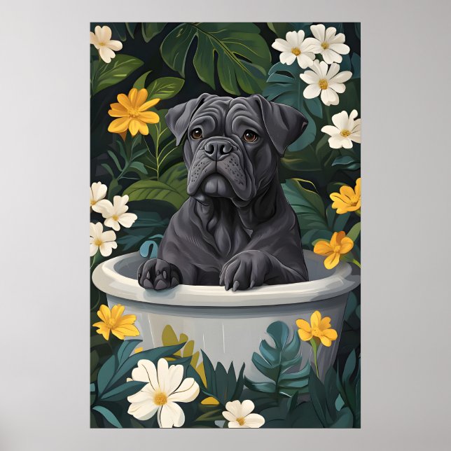 Affiche de Cane Corso dans une baignoire, affiche  (Devant)