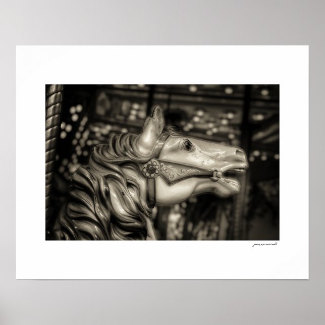 Affiche de carrousel de la foire du comté de Sepia (Devant)