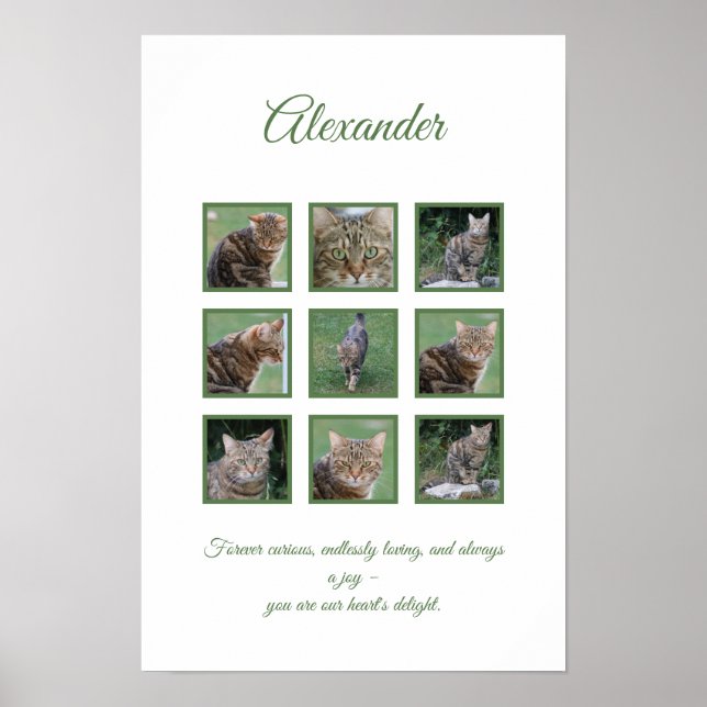 Affiche de célébration personnalisable pour animau (Devant)