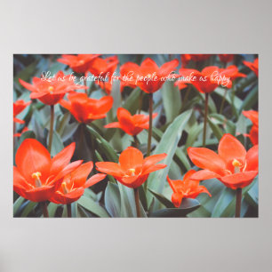 Affiche de champ de tulipes rouges