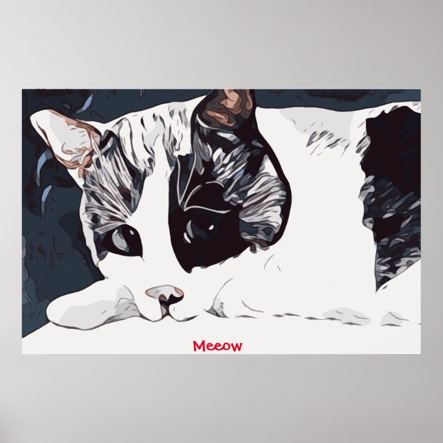 Affiche de chat Meeow (Devant)