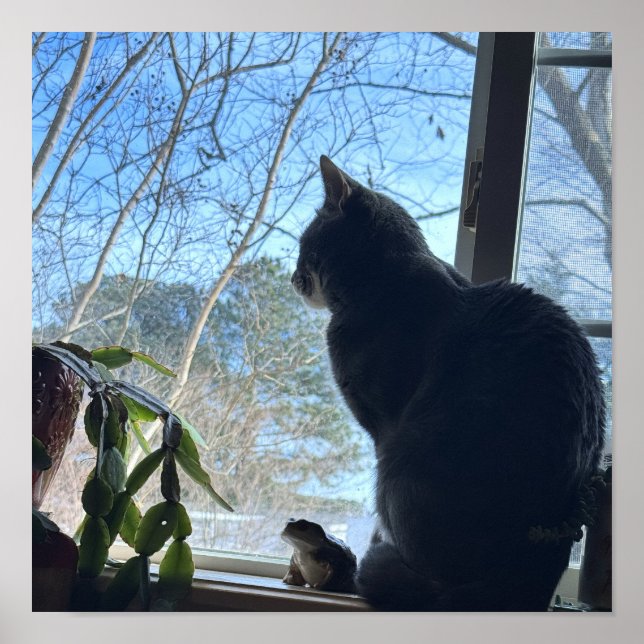 Affiche de chat regardant par la fenêtre (Devant)