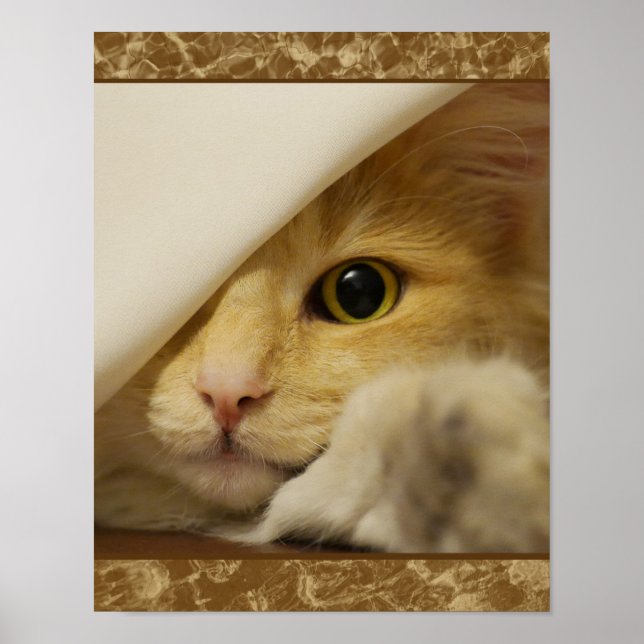 Affiche de chaton jaune mignon (Devant)