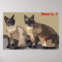 Affiche de chats
