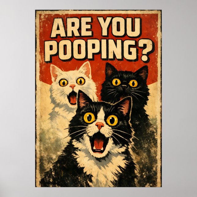 Affiche de chats choqués drôles | Humour de salle  (Devant)
