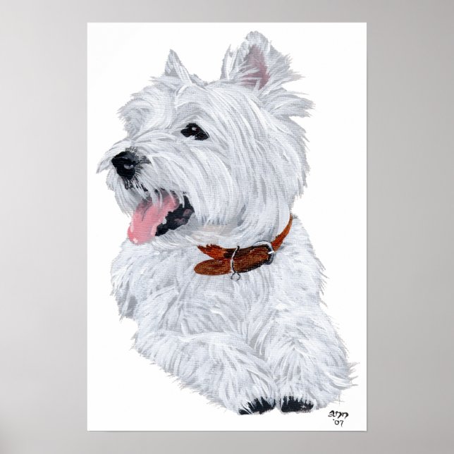 Affiche de Chef Terrier West Highland Blanc (Devant)