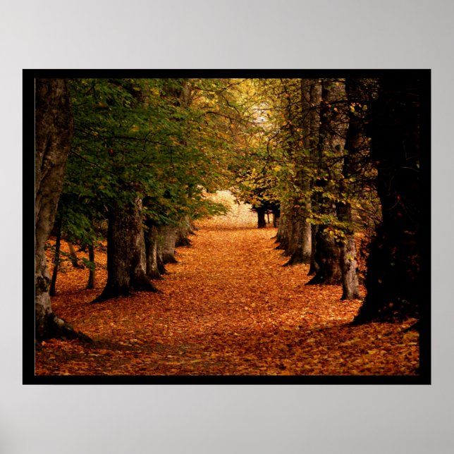 Affiche de chemin d'automne Imprimer (Devant)