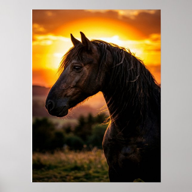 Affiche de cheval Art équestre (Devant)