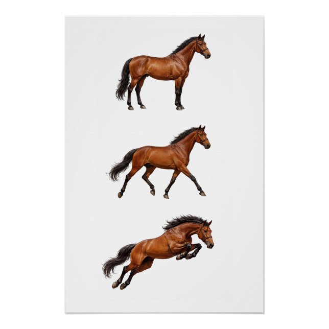 Affiche de cheval brun élégant pour décoration mur (Devant)