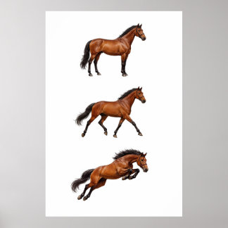Affiche de cheval brun élégant pour mur