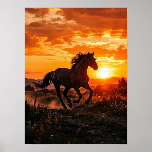 Affiche de cheval Coucher de soleil Murale (Devant)