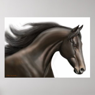 Affiche de cheval de pur sang