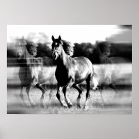 Affiche de cheval en course - Impressions de poste