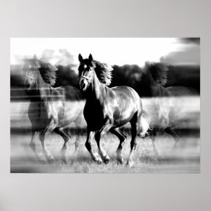 Affiche de cheval en course - Impressions de poste