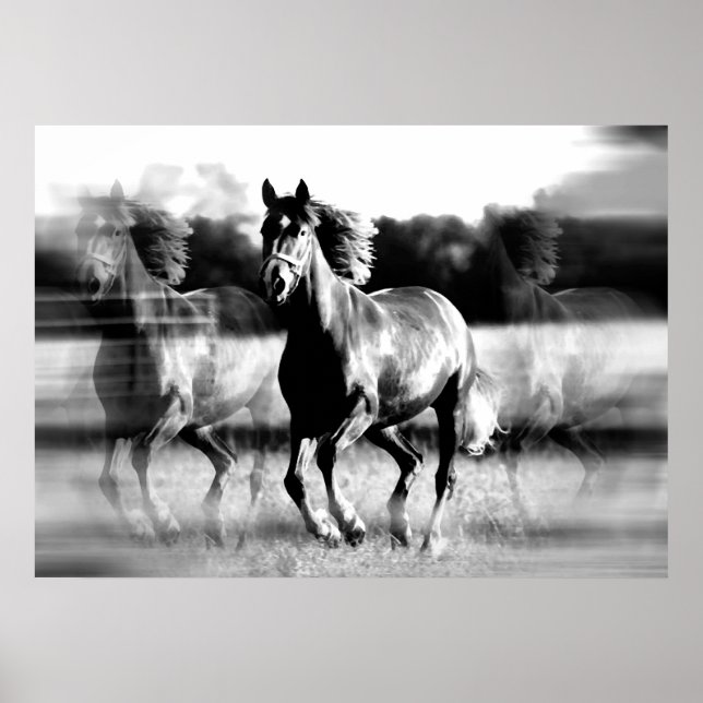 Affiche de cheval en course - Impressions de poste (Devant)