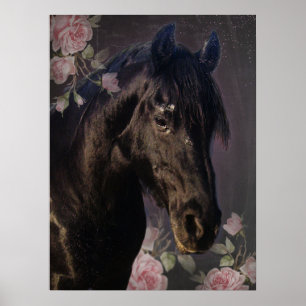 Affiche de Cheval Frison Black Beauty