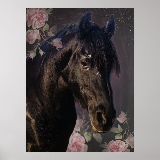 Affiche de Cheval Frison Black Beauty (Devant)