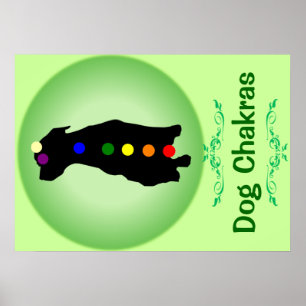 Affiche de Chien Chakras