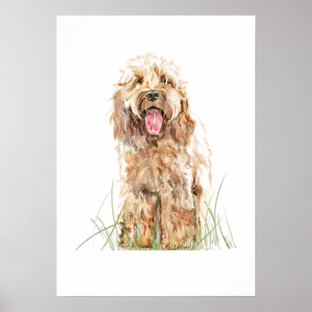 Affiche de chien Cockapoo, Art mural aquarelle (Devant)