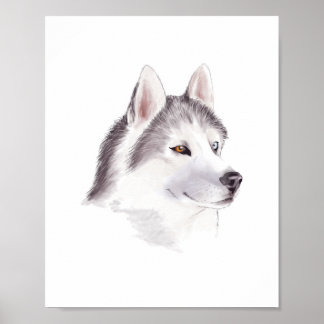 Affiche de chien Husky / affiches d'animaux