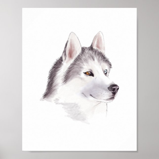 Affiche de chien Husky / affiches d'animaux (Devant)