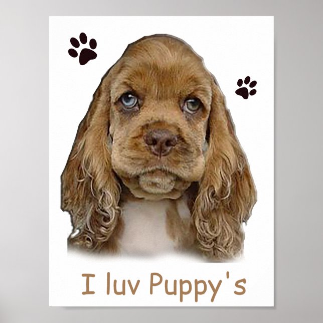 affiche de chiot cocker spaniel (Devant)