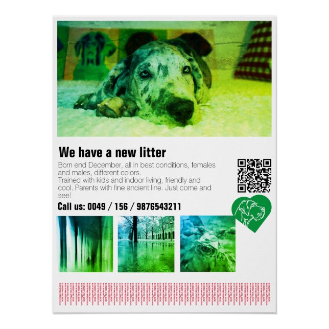 Affiche de chiot Great Dane Designer (Devant)