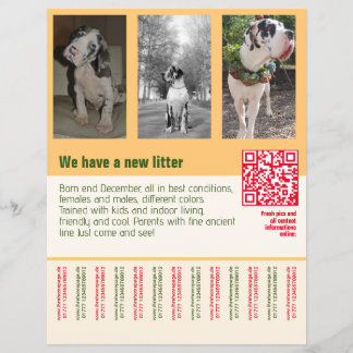 affiche de chiots à vendre avec QR code orange