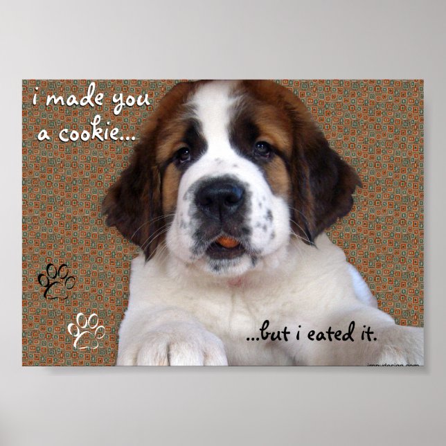 Affiche de chiots Saint-Bernard avec cookie (Devant)
