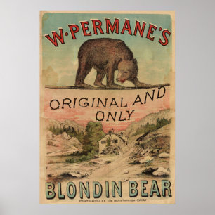 Affiche de cirque vintage 1880 Blondin Bear Art Pr