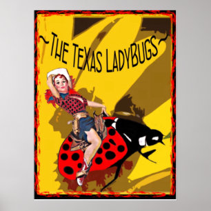 Affiche de coccinelles de TX avec l'insecte de