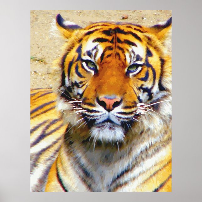 Affiche de confiance (Devant)